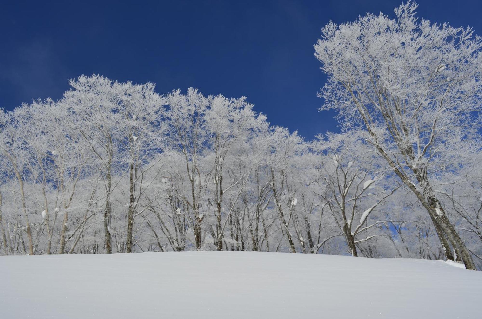 B&B Santana Hakuba Luaran gambar